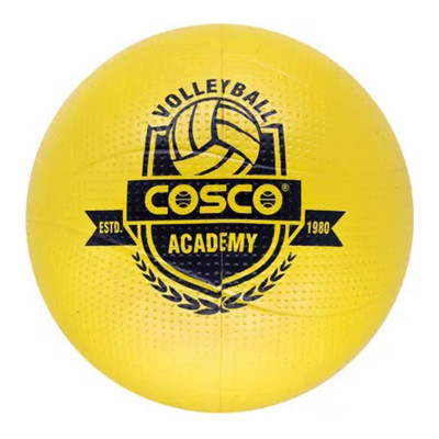 COSCO Academy VolleyBall